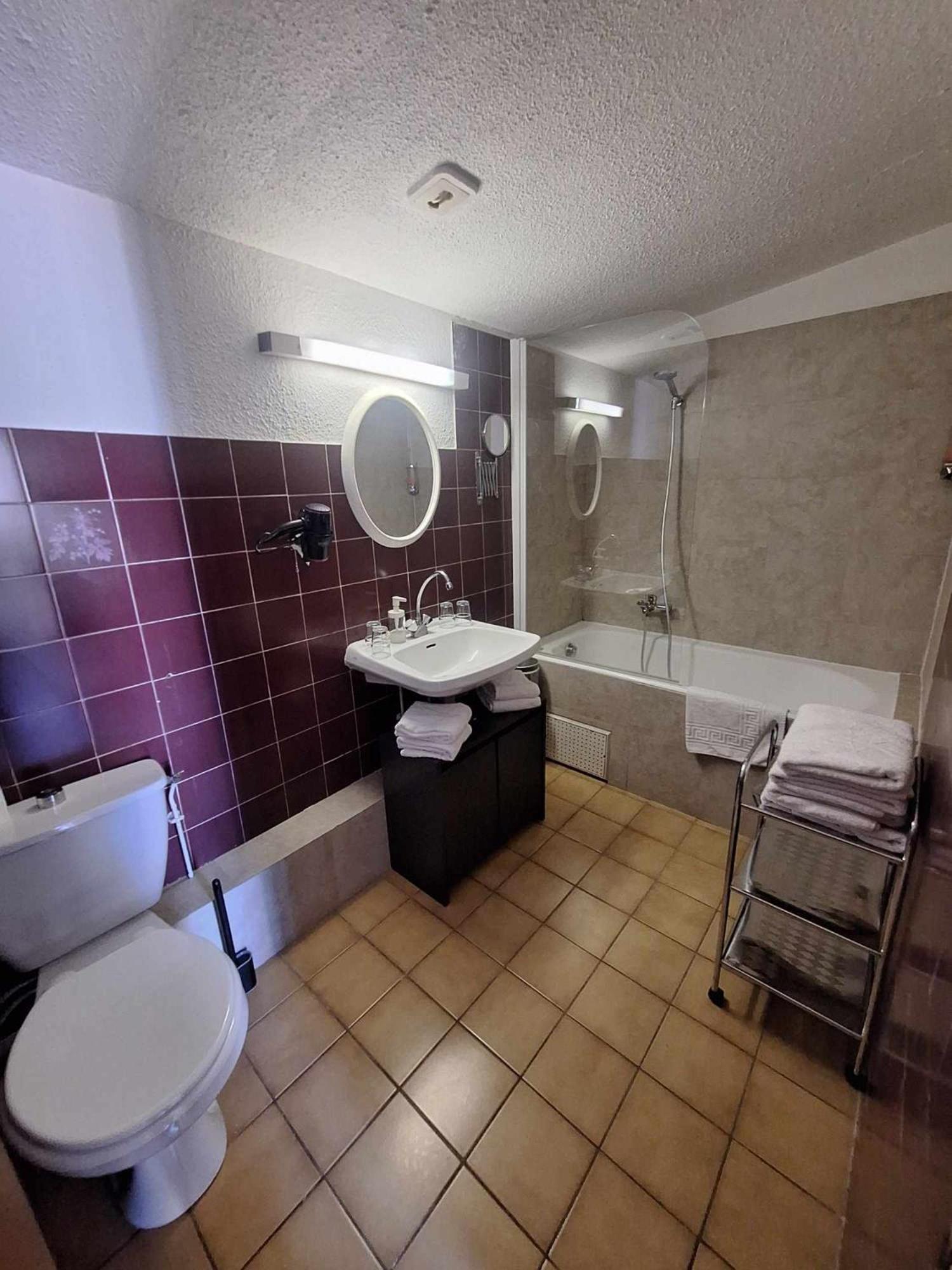 Hotel Le Connetable Saint-Bonnet-en-Champsaur Dış mekan fotoğraf